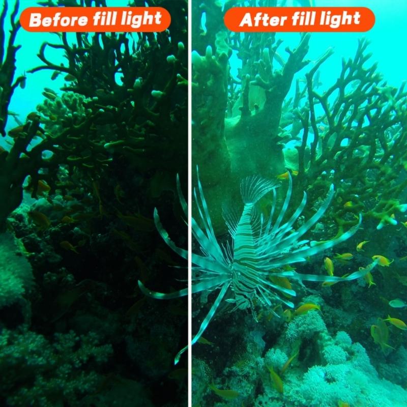 Đèn chiếu sáng M5TD cho hành đ - đánh giá và giá Photography Lighting Description